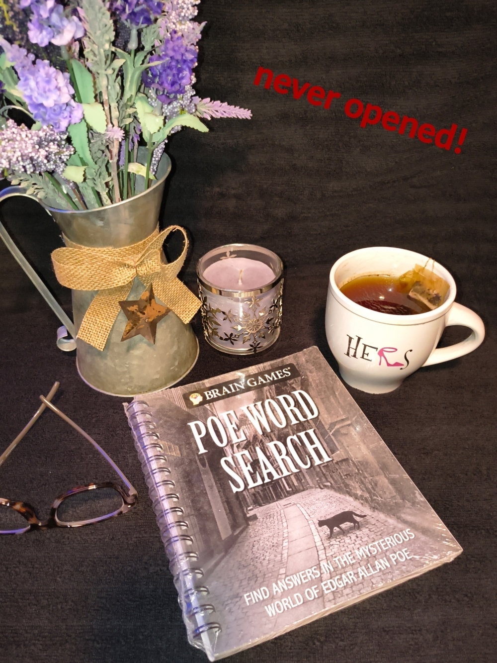 Poe Word Search Puzzle Book - New